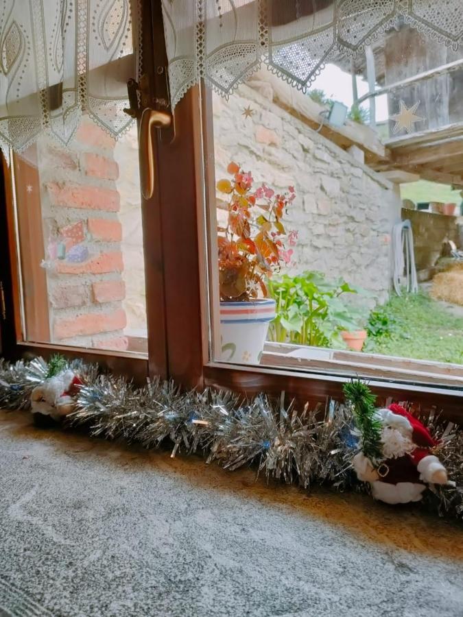Апартаменти Carroceu Rural Кангас-де-Оніс Номер фото
