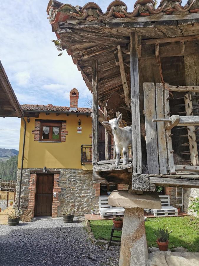 Апартаменти Carroceu Rural Кангас-де-Оніс Екстер'єр фото